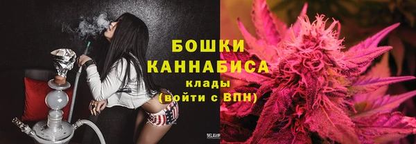 ешки Медвежьегорск